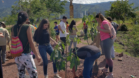 Portal Piedecuesta inició Plan de Compensación Ambiental