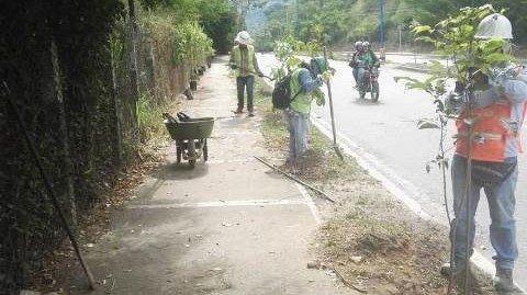 Inició plan de siembra en construcción del Portal Norte - Ciudad Jardín de Metrolínea