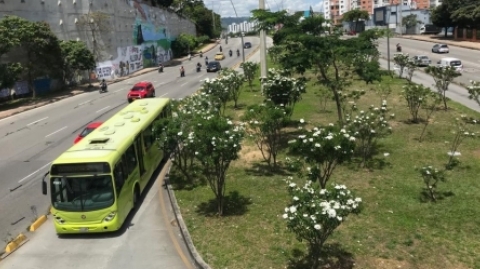 Los domingos y festivos se optimizará la operación del SITM Metrolínea