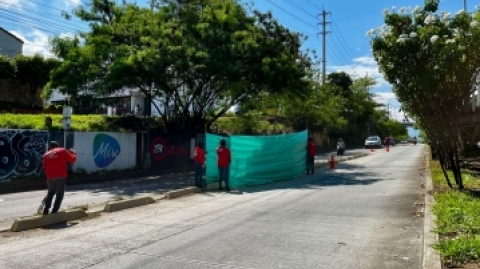 Poda, mantenimiento y ornato en separadores y carril exclusivo de Metrolínea